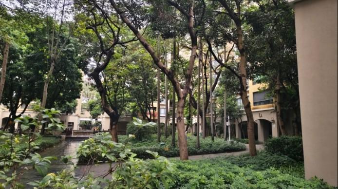 豪掷千万？不，深圳华侨城波托菲诺纯水岸法拍房可省下千万！-第2张图片-法拍在线官网
