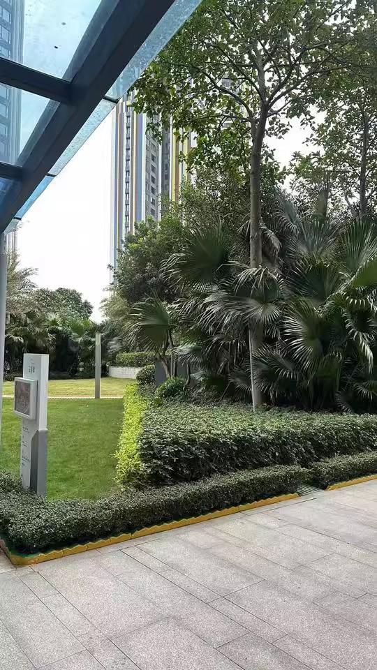 精选10套深圳南山宝能城花园东区高层法拍房塘朗地铁口旁稀缺资源-第3张图片-法拍在线官网