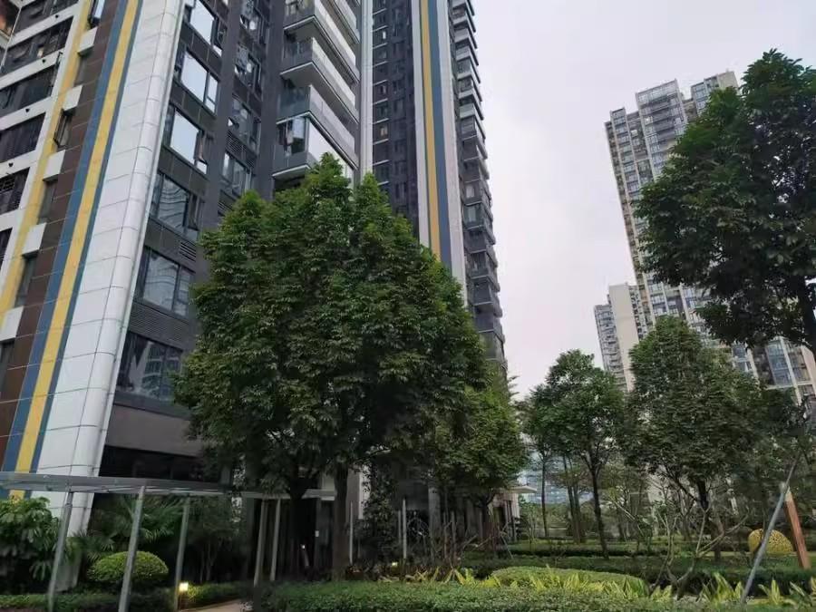 精选10套深圳南山宝能城花园东区高层法拍房塘朗地铁口旁稀缺资源-第50张图片-法拍在线官网