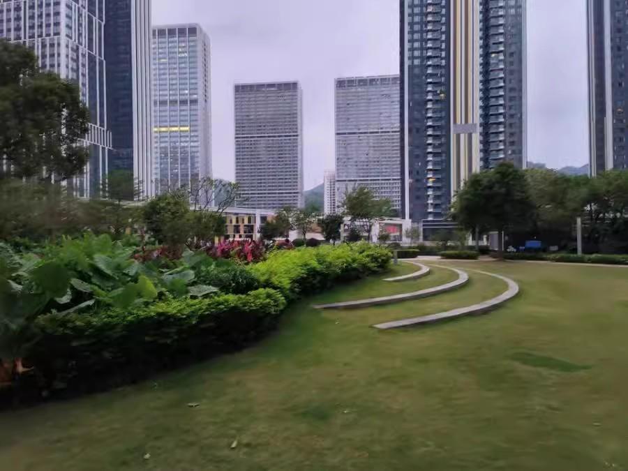精选10套深圳南山宝能城花园东区高层法拍房塘朗地铁口旁稀缺资源-第48张图片-法拍在线官网