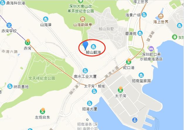 法拍房200㎡精装海景高层豪宅深圳南山公园鲸山觐海九期狂省千万-第12张图片-法拍在线官网