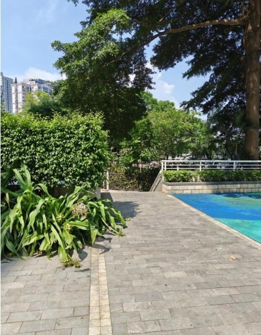 深圳南山法拍房南海玫瑰花园315㎡海景复式送花园5.4折起拍狂省1672万-第5张图片-法拍在线官网