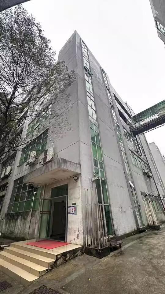 新中桥工业园法拍房回报率12%！宝龙地铁口旁6千元/㎡起拍50年产权-第5张图片-法拍在线官网
