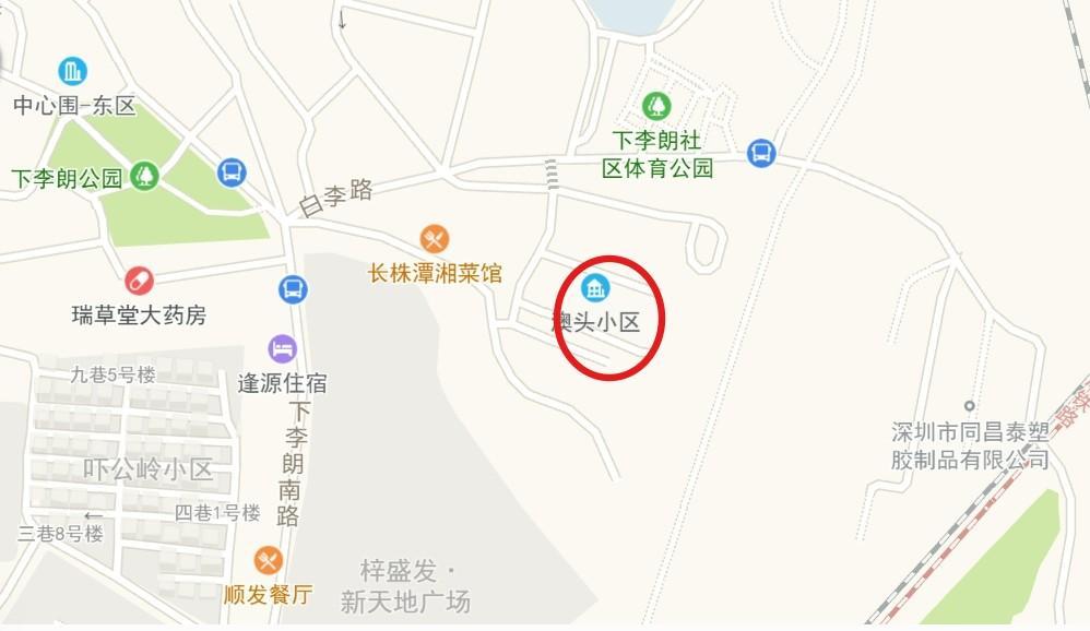 深圳龙岗下李朗17号线旁100㎡两居室+旺铺好房仅需6.8万享旧改红利-第19张图片-法拍在线官网