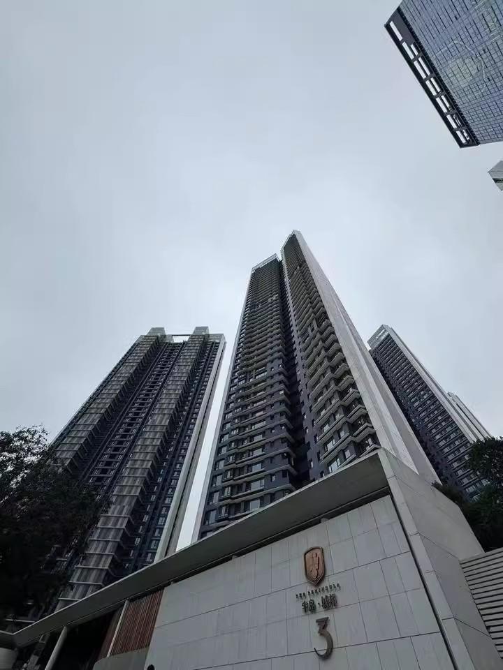 深圳蛇口这个楼盘的法拍房凭什么成为高净值人群的香饽饽？！