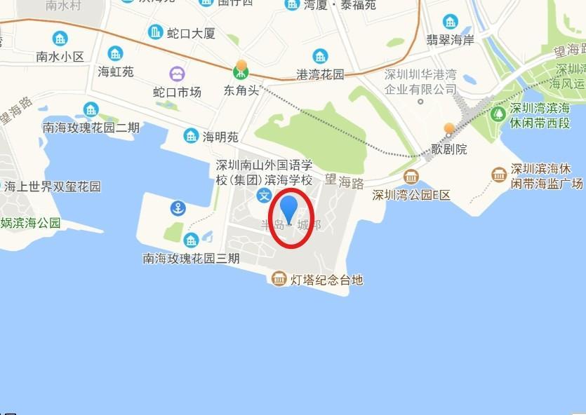 深圳蛇口这个楼盘的法拍房凭什么成为高净值人群的香饽饽？！-第5张图片-深圳法拍房房源信息官方网站