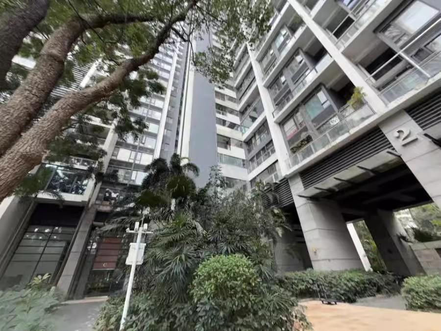 别人还在观望，他已靠中信红树湾花城法拍房财富翻倍！-第4张图片-法拍在线官网