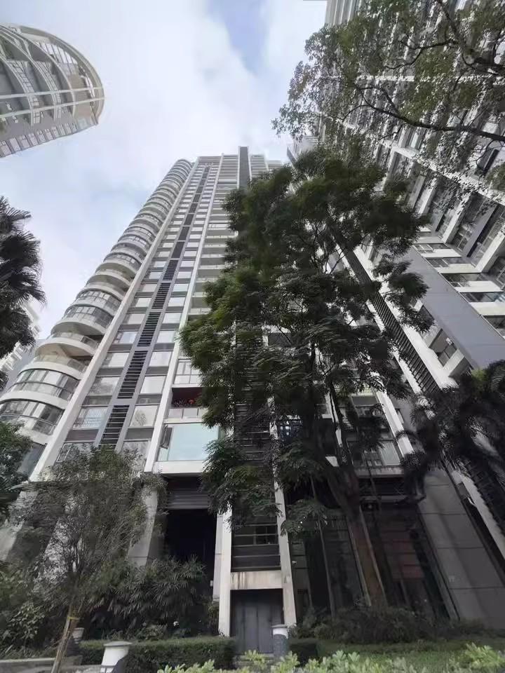别人还在观望，他已靠中信红树湾花城法拍房财富翻倍！-第2张图片-法拍在线官网
