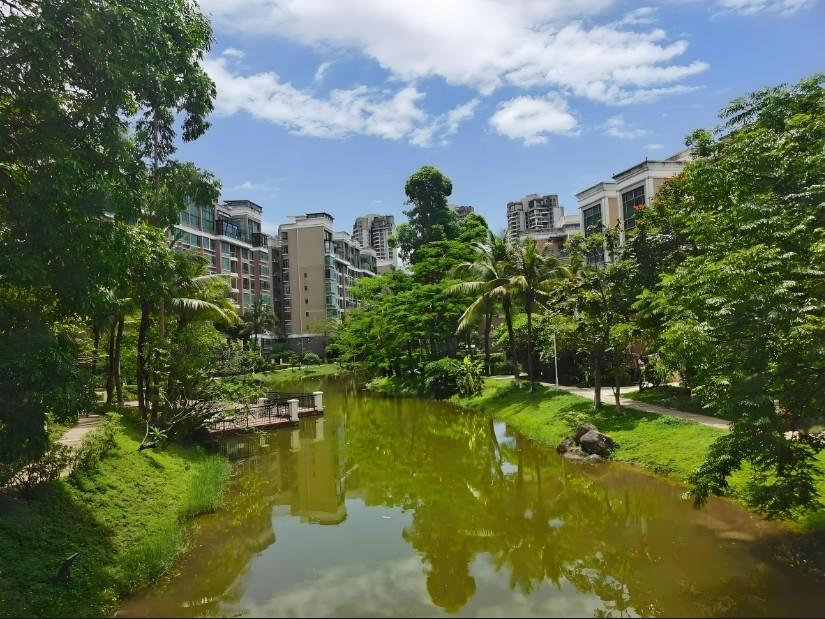 深圳南山富人区滨海名居鸿威海怡湾畔花园海景法拍房性价比逆天