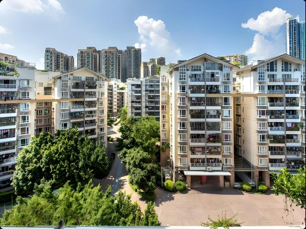 热搜预定！龙岗布吉白鹤村理想家园法拍房，不愧是深圳性价比理想家园！