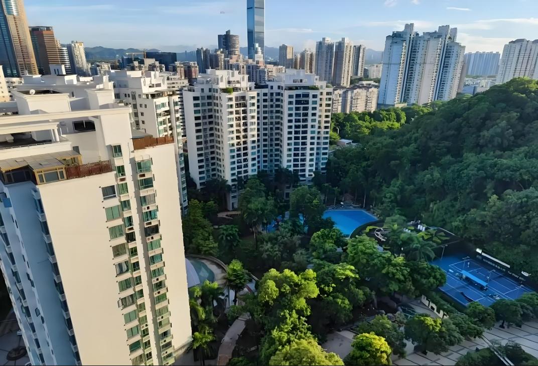 深圳福田云顶翠峰花园法拍房狂捡880万！这套房凭啥出圈？懂行的都在关注