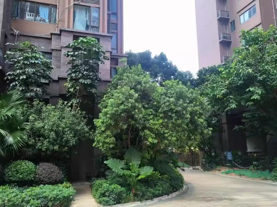 深圳中熙君南山法拍房6万起低密园林美宅近商圈地铁性价比逆天-第5张图片-深圳法拍房房源信息官方网站