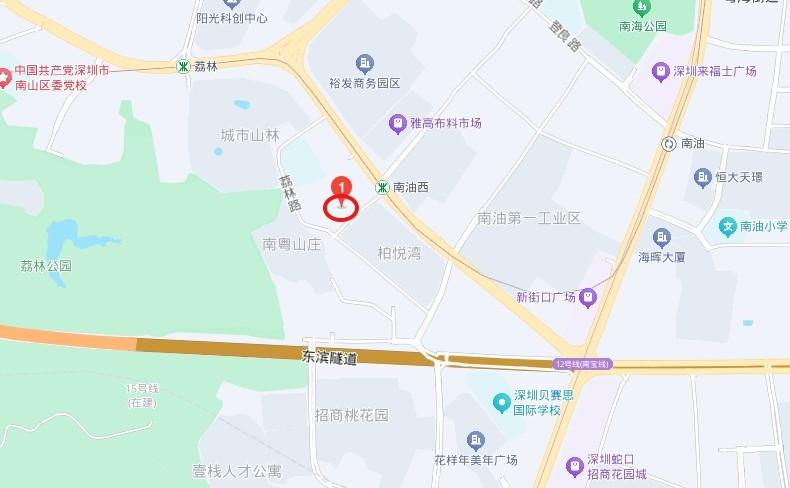 深圳中熙君南山法拍房6万起低密园林美宅近商圈地铁性价比逆天-第11张图片-深圳法拍房房源信息官方网站