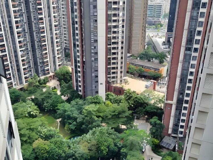 深圳中熙君南山法拍房6万起低密园林美宅近商圈地铁性价比逆天