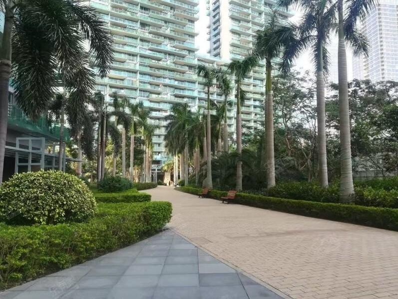 深圳核心区法拍房独家发布！臻选6套性价比爆棚豪宅随赠56套大梅沙奥莱金铺