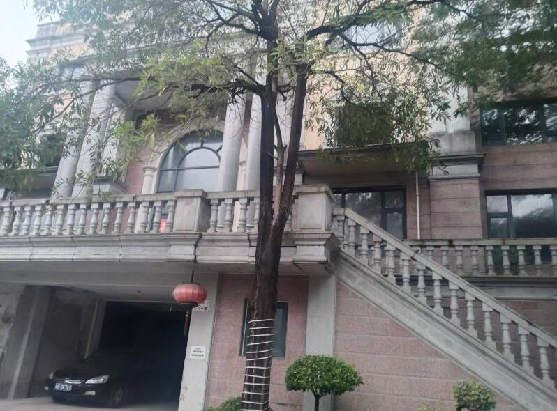 深圳核心区法拍房独家发布！臻选6套性价比爆棚豪宅随赠56套大梅沙奥莱金铺-第12张图片-法拍在线官网