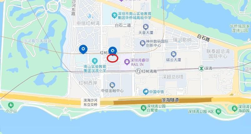 深圳核心区法拍房独家发布！臻选6套性价比爆棚豪宅随赠56套大梅沙奥莱金铺-第9张图片-法拍在线官网