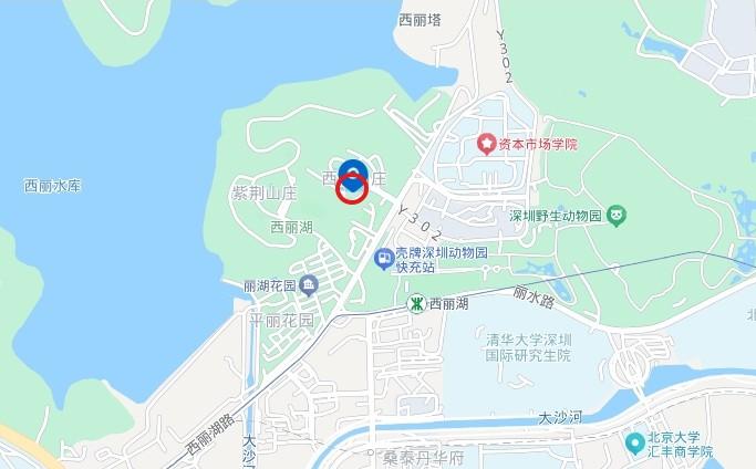 深圳核心区法拍房独家发布！臻选6套性价比爆棚豪宅随赠56套大梅沙奥莱金铺-第16张图片-法拍在线官网