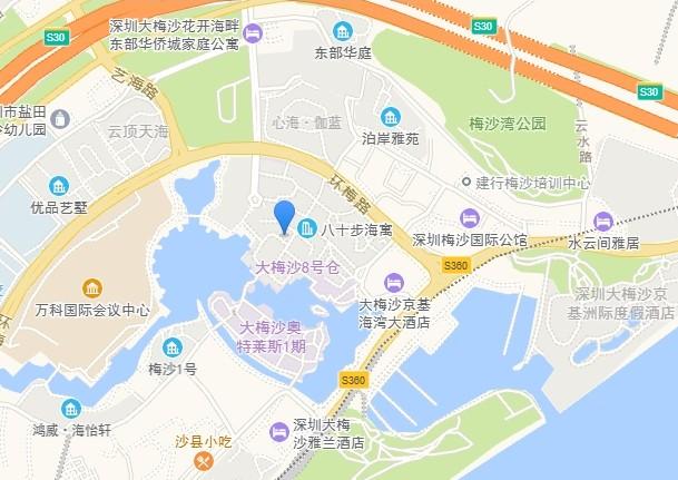 深圳核心区法拍房独家发布！臻选6套性价比爆棚豪宅随赠56套大梅沙奥莱金铺-第50张图片-法拍在线官网