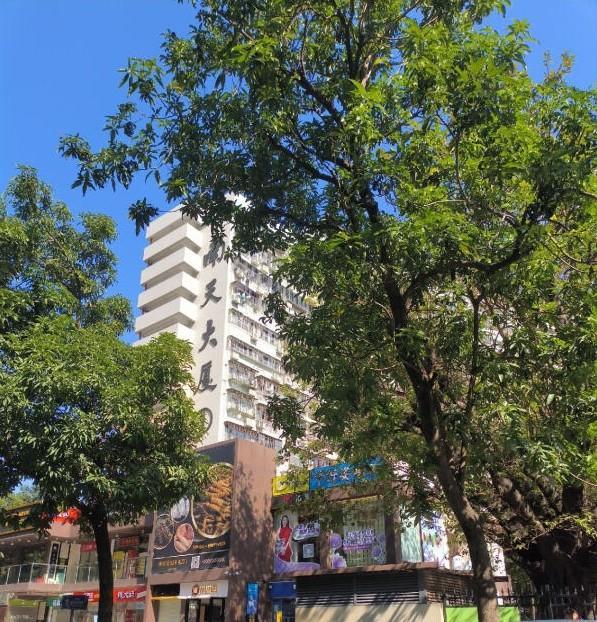 深圳核心区法拍房独家发布！臻选6套性价比爆棚豪宅随赠56套大梅沙奥莱金铺-第41张图片-法拍在线官网