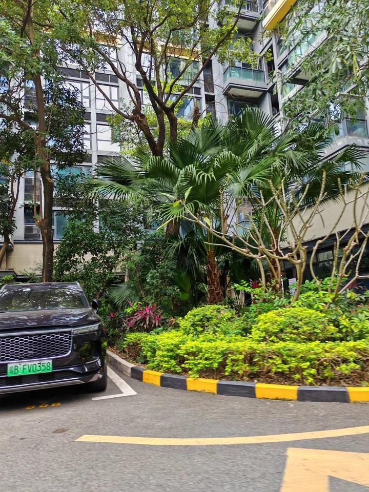深圳南山波托菲诺香山里稀缺大宅法拍房静享高尔夫景观坐拥塘朗山美色-第7张图片-法拍在线官网