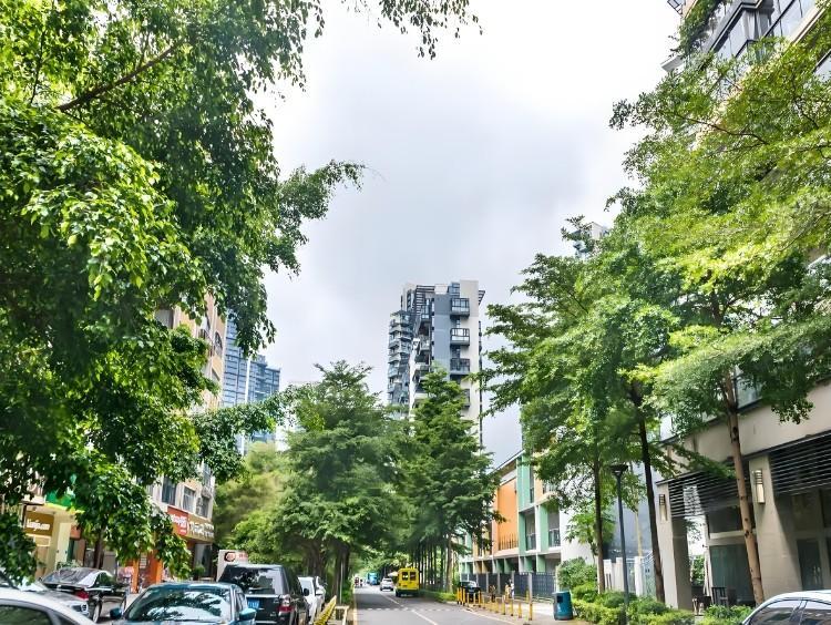 深圳南山波托菲诺香山里稀缺大宅法拍房静享高尔夫景观坐拥塘朗山美色-第2张图片-法拍在线官网