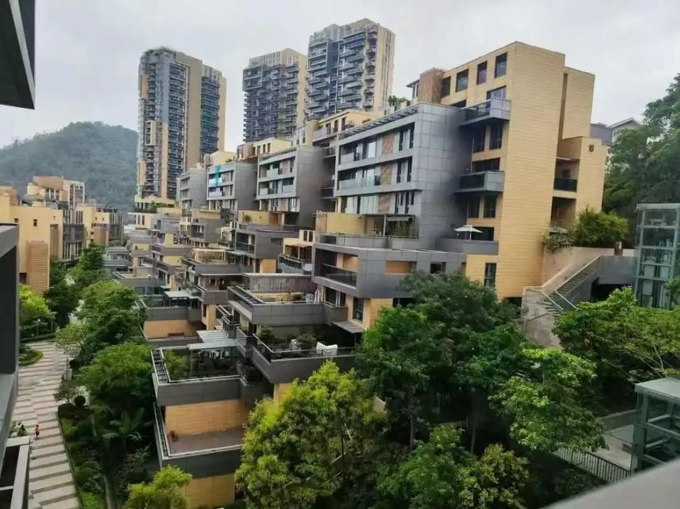 枕山襟海处湾藏大宅心深圳鲸山觐海法拍房传统与现代交织的风水宝地