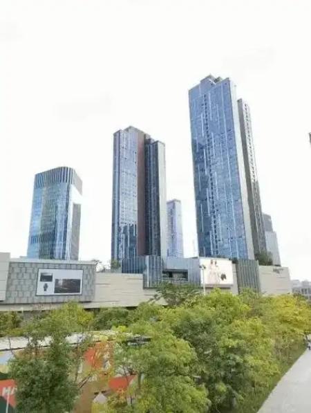 深圳后海超总春笋齐肩柏瑞花园法拍房一线海景与高端品位稀缺同辉-第5张图片-法拍在线官网