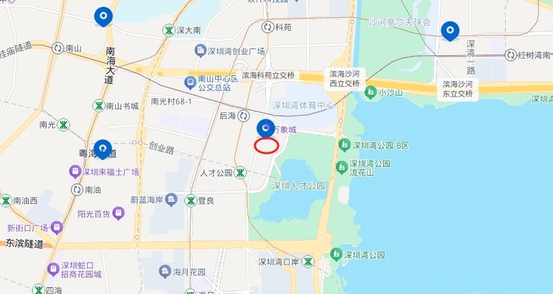深圳后海超总春笋齐肩柏瑞花园法拍房一线海景与高端品位稀缺同辉-第13张图片-法拍在线官网