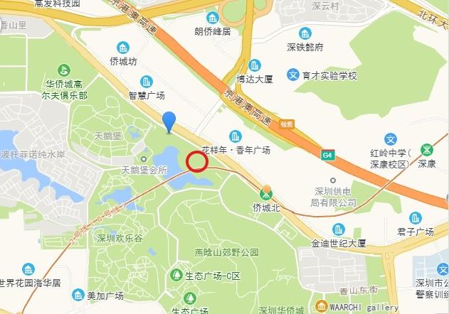 白送2500万深圳高端藏品级法拍房高净值人群资产优选天鹅湖花园-第13张图片-法拍在线官网