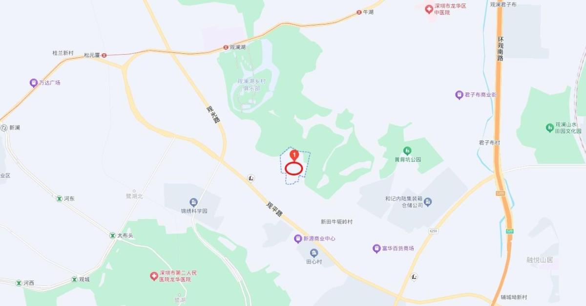 探秘深圳龙华观湖街道新田社区周边工业厂房法拍房解锁无限机遇-第9张图片-法拍在线官网
