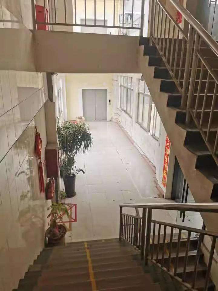 探秘深圳龙华观湖街道新田社区周边工业厂房法拍房解锁无限机遇-第8张图片-法拍在线官网