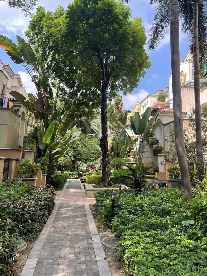 价值飙升深圳法拍房市场惊现稀缺难遇的三套复式别墅资源5.1折解锁-第15张图片-法拍在线官网