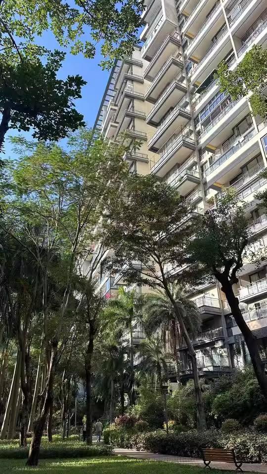 深圳南山3套爆款法拍房集结狂省近千万抢南实旁大五居/华润城靓宅/纯水岸双拼-第13张图片-法拍在线官网