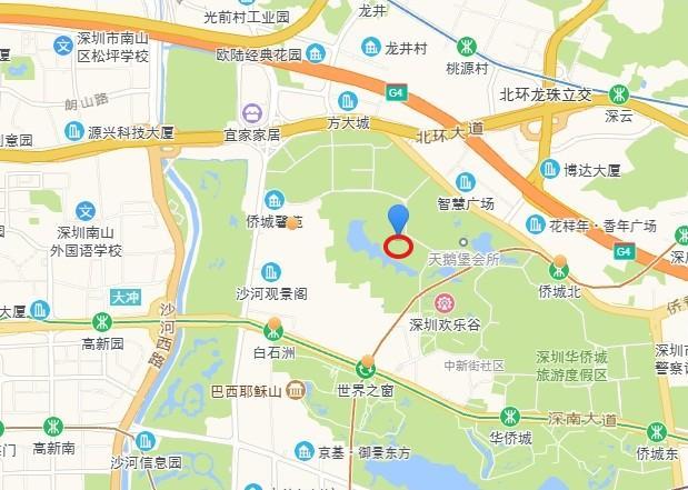 深圳南山3套爆款法拍房集结狂省近千万抢南实旁大五居/华润城靓宅/纯水岸双拼-第18张图片-法拍在线官网