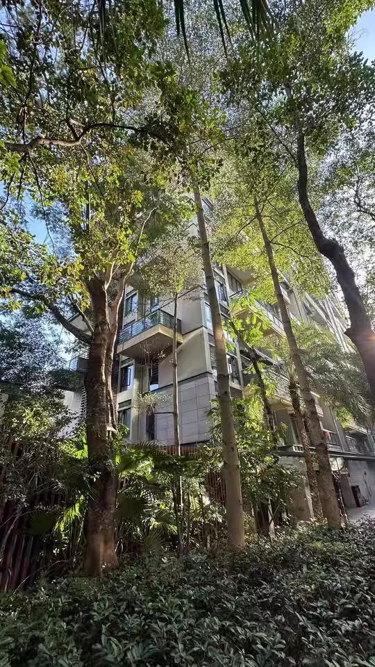 深圳南山3套爆款法拍房集结狂省近千万抢南实旁大五居/华润城靓宅/纯水岸双拼-第14张图片-法拍在线官网