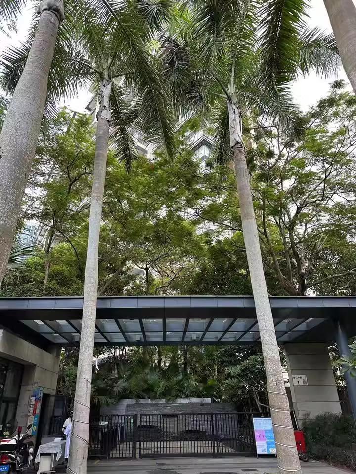 深圳南山3套爆款法拍房集结狂省近千万抢南实旁大五居/华润城靓宅/纯水岸双拼-第16张图片-法拍在线官网