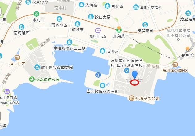 城市天际线藏品法拍房深圳湾畔半岛城邦云端大宅IMAX级海景视野-第6张图片-法拍在线官网