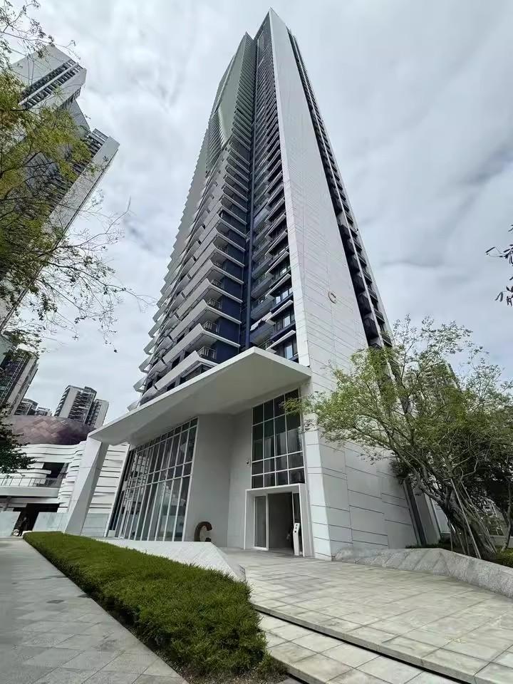 城市天际线藏品法拍房深圳湾畔半岛城邦云端大宅IMAX级海景视野-第4张图片-法拍在线官网