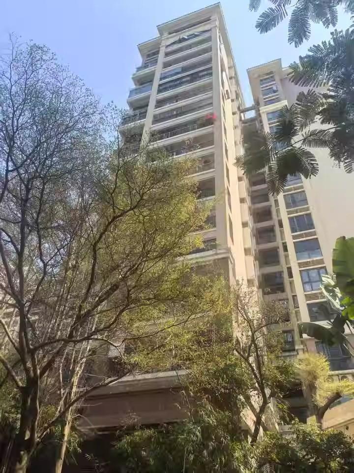 深圳法拍房宝藏清单宝安中心区四大潜力硬核房源解锁资产新机遇-第4张图片-法拍在线官网