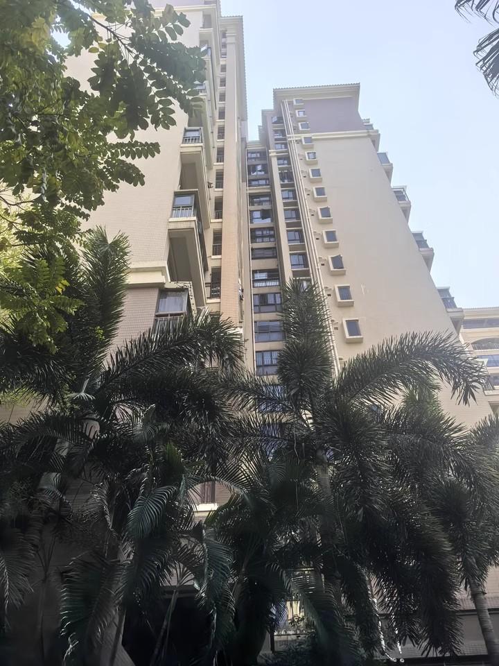 深圳法拍房宝藏清单宝安中心区四大潜力硬核房源解锁资产新机遇-第3张图片-法拍在线官网