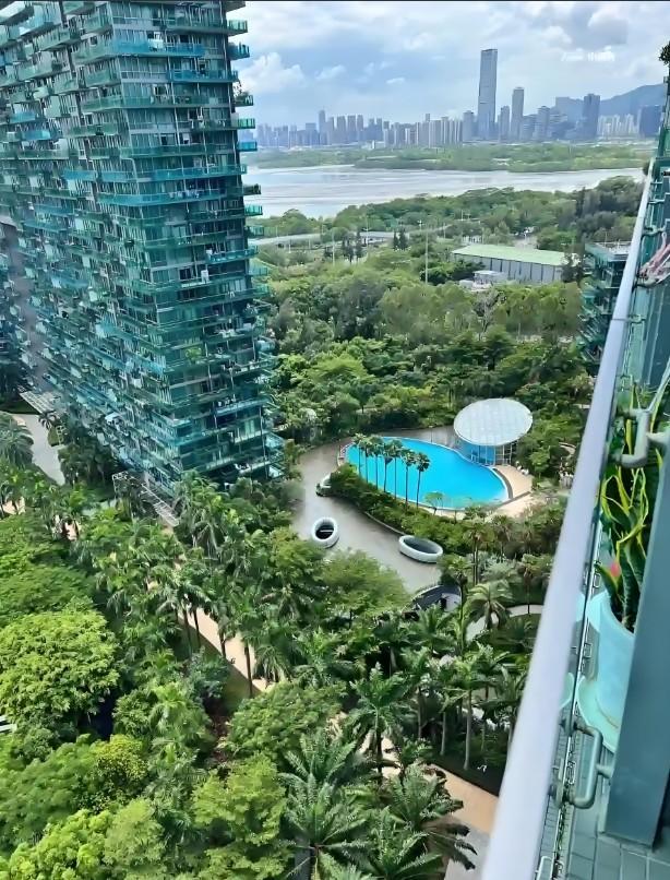 顶豪市场的价格盲盒深湾超总旁红树西岸法拍房高尔夫与海的双重资产全解析-第2张图片-法拍在线官网