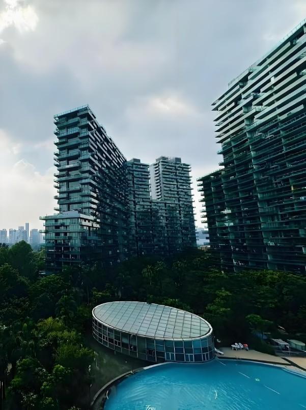 顶豪市场的价格盲盒深湾超总旁红树西岸法拍房高尔夫与海的双重资产全解析-第3张图片-法拍在线官网