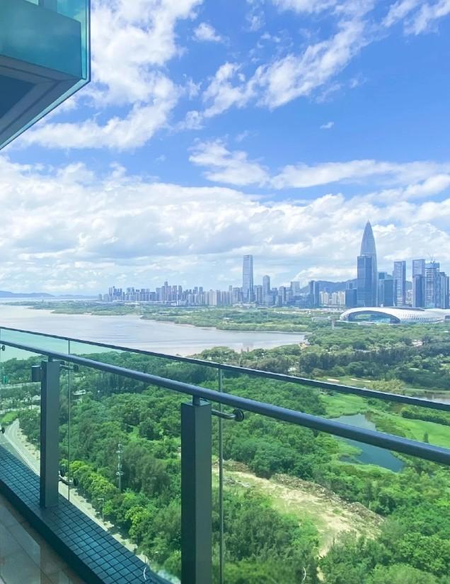 顶豪市场的价格盲盒深湾超总旁红树西岸法拍房高尔夫与海的双重资产全解析-第4张图片-法拍在线官网