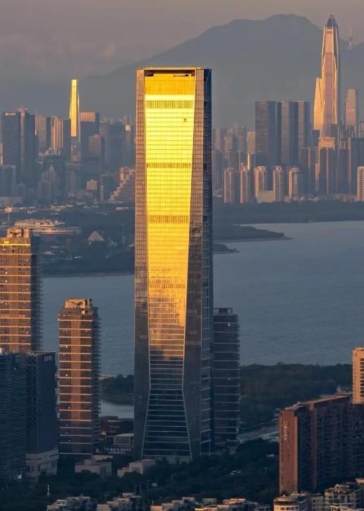 法拍房中顶豪市场的隐形门槛资产破局启示之鹏瑞深圳湾壹号深度解码-第4张图片-法拍在线官网