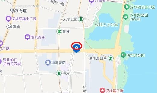 法拍房中顶豪市场的隐形门槛资产破局启示之鹏瑞深圳湾壹号深度解码-第9张图片-法拍在线官网
