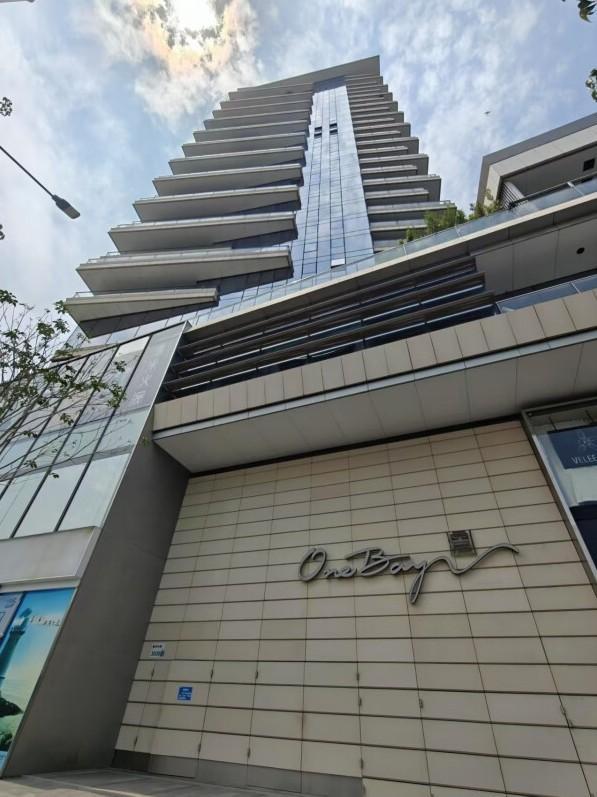 法拍房中顶豪市场的隐形门槛资产破局启示之鹏瑞深圳湾壹号深度解码-第6张图片-法拍在线官网