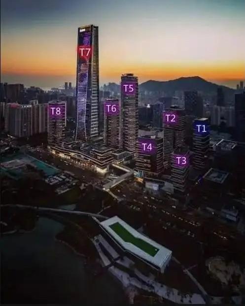 法拍房中顶豪市场的隐形门槛资产破局启示之鹏瑞深圳湾壹号深度解码-第10张图片-法拍在线官网