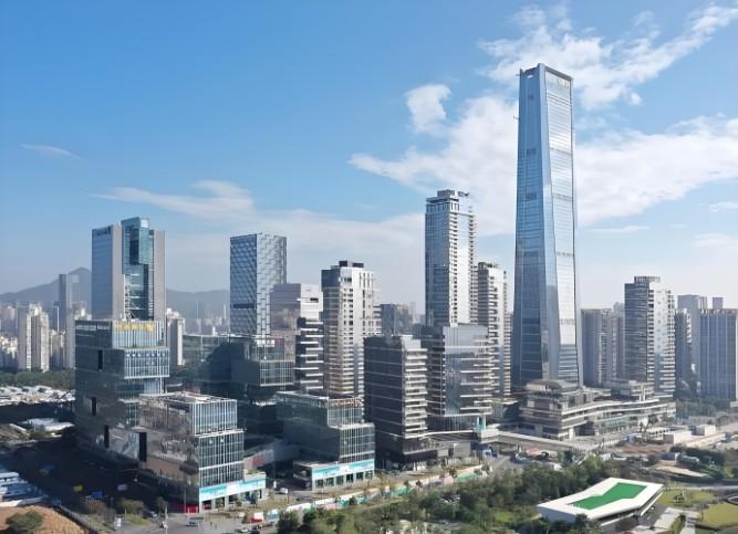 法拍房中顶豪市场的隐形门槛资产破局启示之鹏瑞深圳湾壹号深度解码-第3张图片-法拍在线官网
