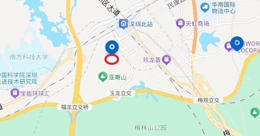 深圳北爆款法拍房龙华熙元山院两套地铁口品质大宅性价比直接拉满-第13张图片-法拍在线官网